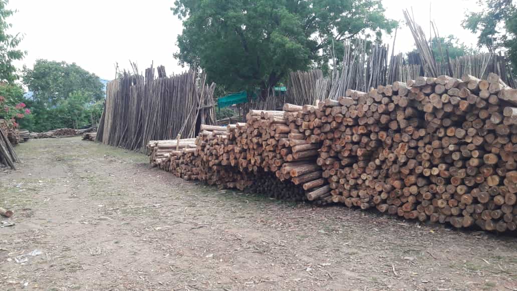 Wood Yard